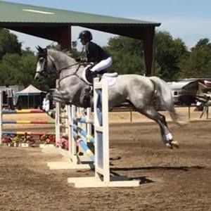 Meet your Posher, Malia